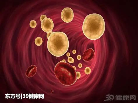 中国无偿献血人次20年连增 仍有人存献血误区