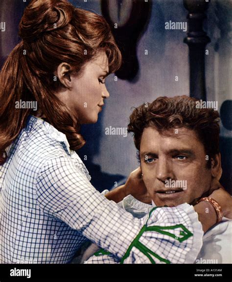 The Hallelujah Trail Year 1965 Director John Sturges Burt Lancaster Lee ...