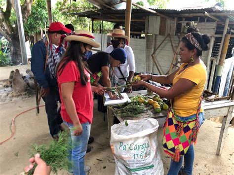 Autoridades trabajan con comunidades indígenas en prevención del Covid ...