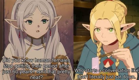 I can see Frieren randomly saying this to a fellow elf ngl : r/Frieren