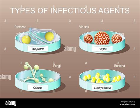 Pathogens 的图像结果