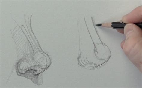 Drawing Tutorials | Drawing Tutorials Online Blog