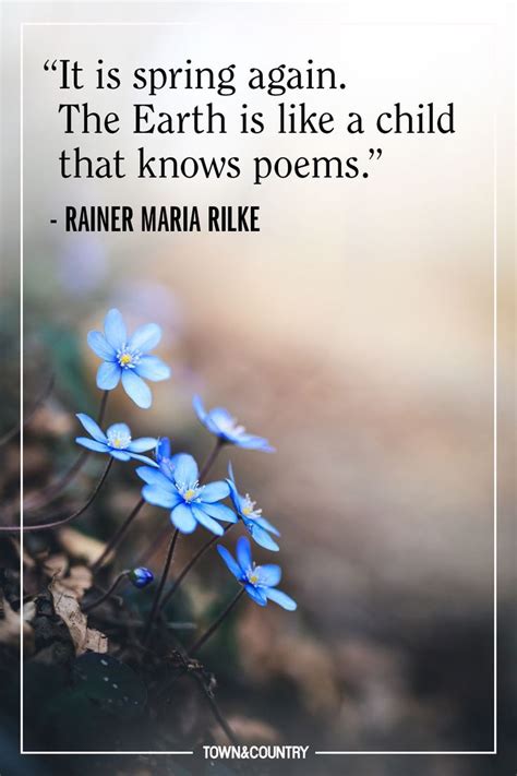 Quotes and Spring Flowers: Revive Your Soul with Nature's Loveliness