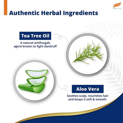 HIMALAYA Anti-Dandruff Tea Tree Shampoo - Price in India, Buy HIMALAYA ...