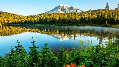 Image result for Nature Sample