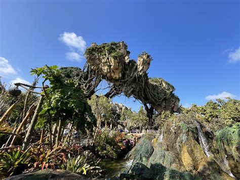 Complete Guide to Disney Animal Kingdom Rides (2023)