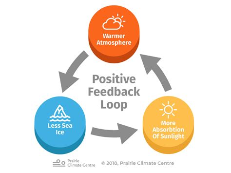 Image result for Negative Feedback Loop Global Warming