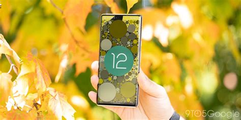 Install Google Android 12 的图像结果