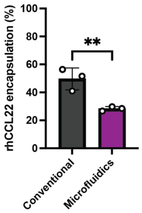 Investigation of the Impact of Manufacturing Methods on Protein-Based ...