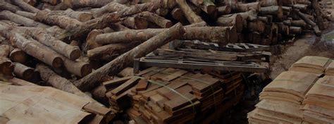 Image result for Wood Processing