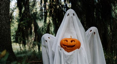 4 of the Best Chicken Wire Ghost Ideas for Halloween