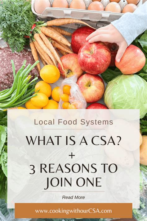 CSA Community Supported Agriculture 的图像结果
