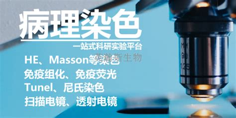 福建动物造模实验外包价位 欢迎来电「南京英瀚斯生物科技供应」 - 8684网企业资讯