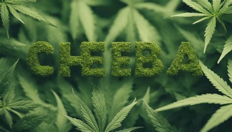 Image result for Cheeba Burb