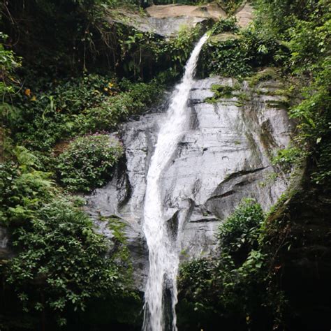 THE BEST Plateaux Region Pubs & Clubs (Updated 2025) - Tripadvisor