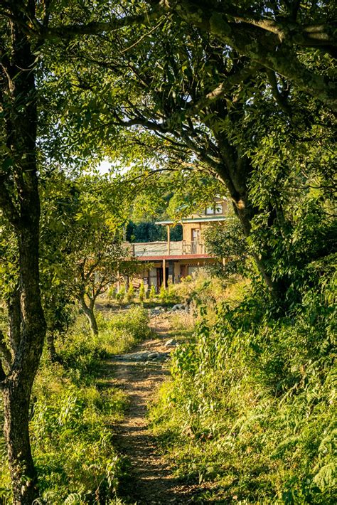 This Uttarakhand homestay offers stunning mountain views and Kumaoni ...