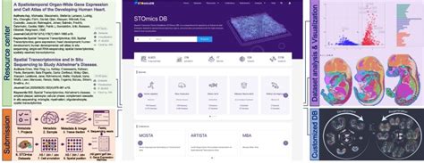 Image result for Transcriptomics Databases