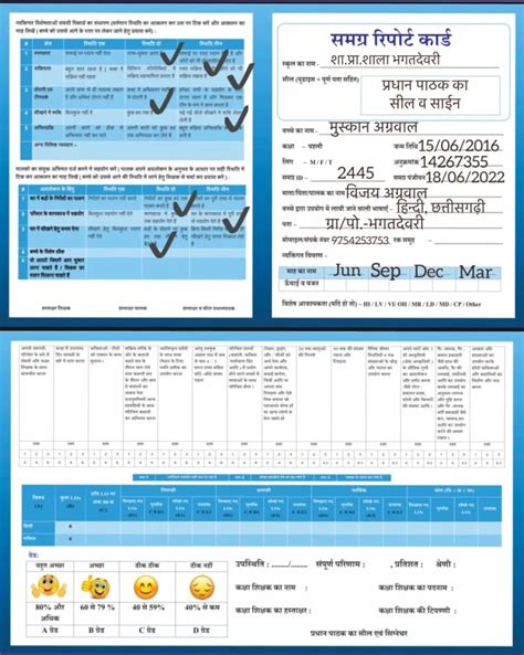 समग्र रिपोर्ट कार्ड (Holistic Report Card) कैसें भरें । - Edudepart