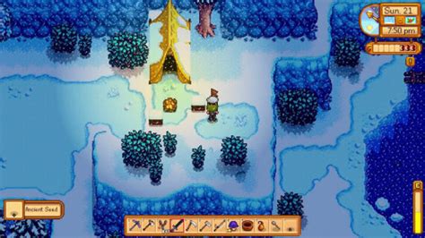 Stardew Valley: The Best Places and Ways to Find Ancient Seeds ...