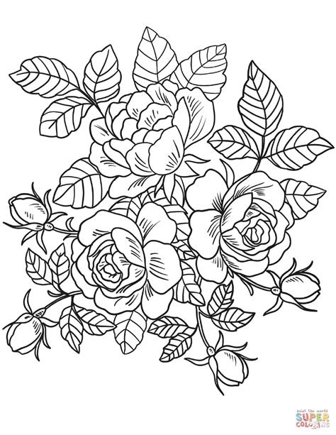 Printable Rose Coloring Pages - Team Coloring