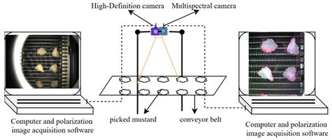 Defect Detection in Food Using Multispectral and High-Definition ...