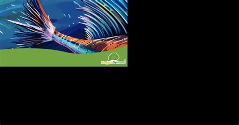 Image result for Fish Speed Graph