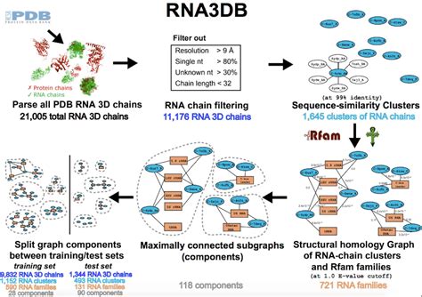 RNA Model 的图像结果