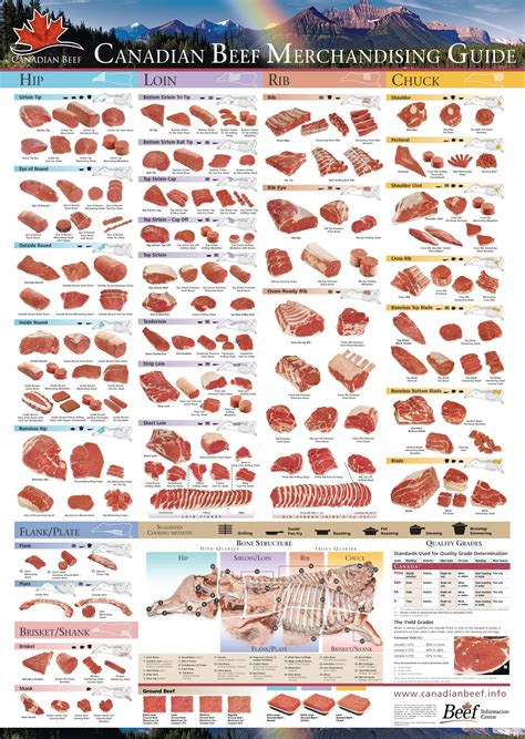 meat guide with cooking suggestion | Meat cuts, Meat cuts chart, Beef ...