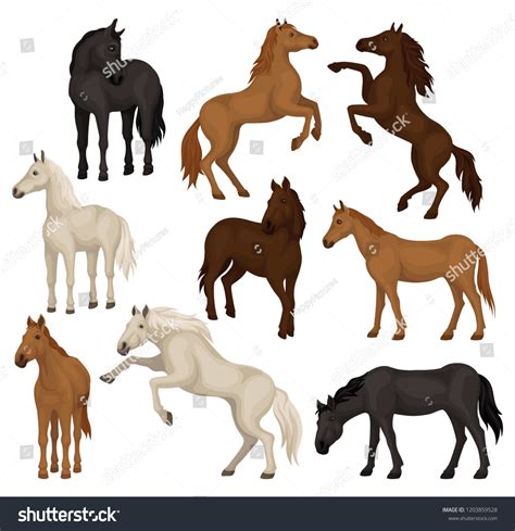 Horse Clipart Images