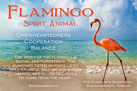 Flamingo Spirit Animal - Discover the Meaning