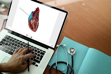 Image result for Visible Body Courseware