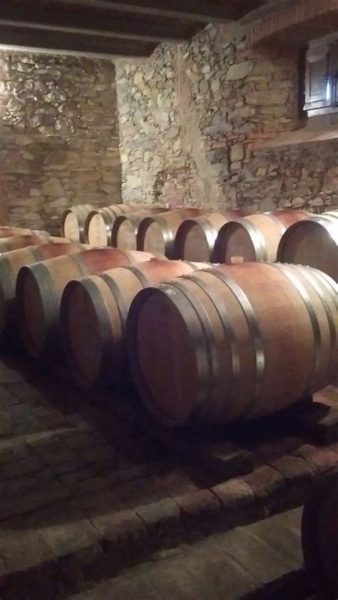 AGRITURISMO IL FALCONE (Suvereto) - Farmhouse Reviews & Photos ...