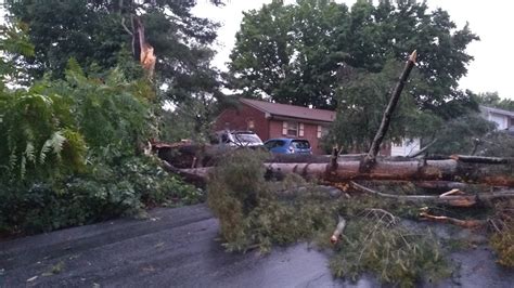 Straight Line Wind Damage 的图像结果