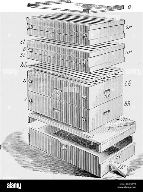 Isss hi-res stock photography and images - Alamy