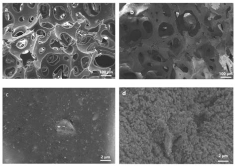 Polymers | April-1 2022 - Browse Articles