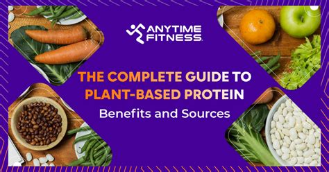 Complete Guide to Plant Based Proteins – Xalt Online