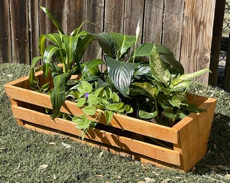 Rectangular Planter Box 的图像结果