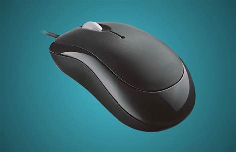 Image result for Mouse Information Computer
