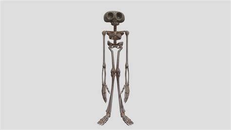 Image result for Alien Skeleton Prop