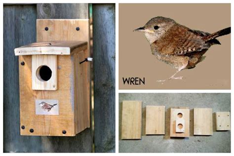 Image result for Bird Nesting Boxes Plans