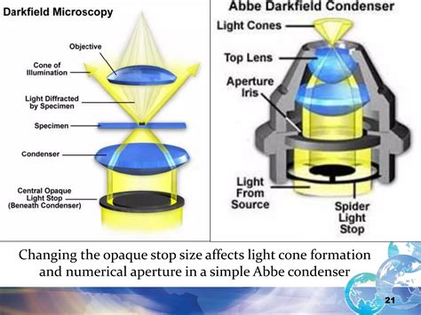 Dark field microscopy | PDF