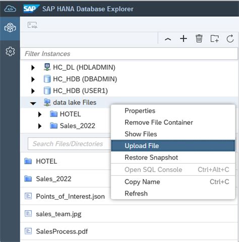 Export and Import Data and Schema with SAP HANA Database Explorer | SAP ...