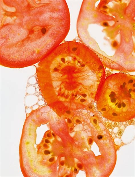 You’ve been cooking vegetables all wrong | Condé Nast Traveller India ...