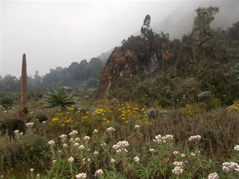 WEISMANN SAFARIS & EXPEDITIONS (Updated 2026) All You Need to Know ...