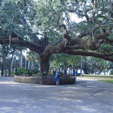 OAKS BY THE BAY PARK (2026) All You Need to Know BEFORE You Go (with ...