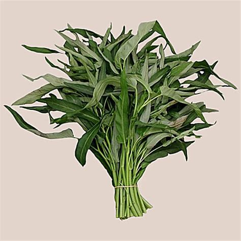 Buy fresho! Kalmi Saag / Water Spinach / Water Ipomoea Online at Best ...