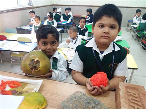 Image result for Heavy and Light Objects