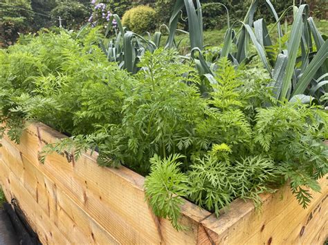 Image result for How to Compost Fast