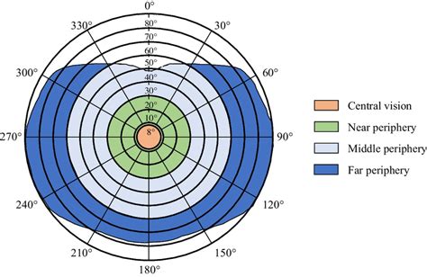 Image result for Human Vision Field of View