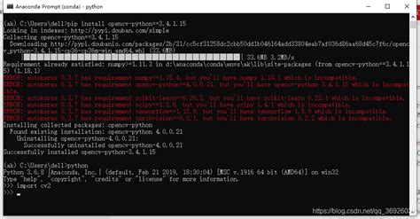 OpenCV 4 5 5 Python Pip Install 的图像结果